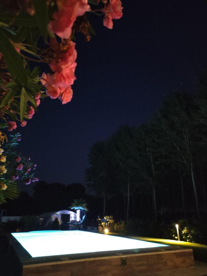 Rb Bed & Breakfast Gaiba 外观 照片