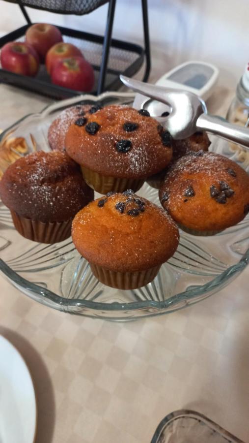 Rb Bed & Breakfast Gaiba 外观 照片